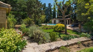 Um jardim privativo com piscina, um gazebo e diversas plantas.
