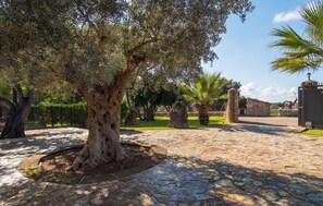 Property grounds - Beautiful home in Llubi with private swimming pool, can be inside or outside (Llubi)