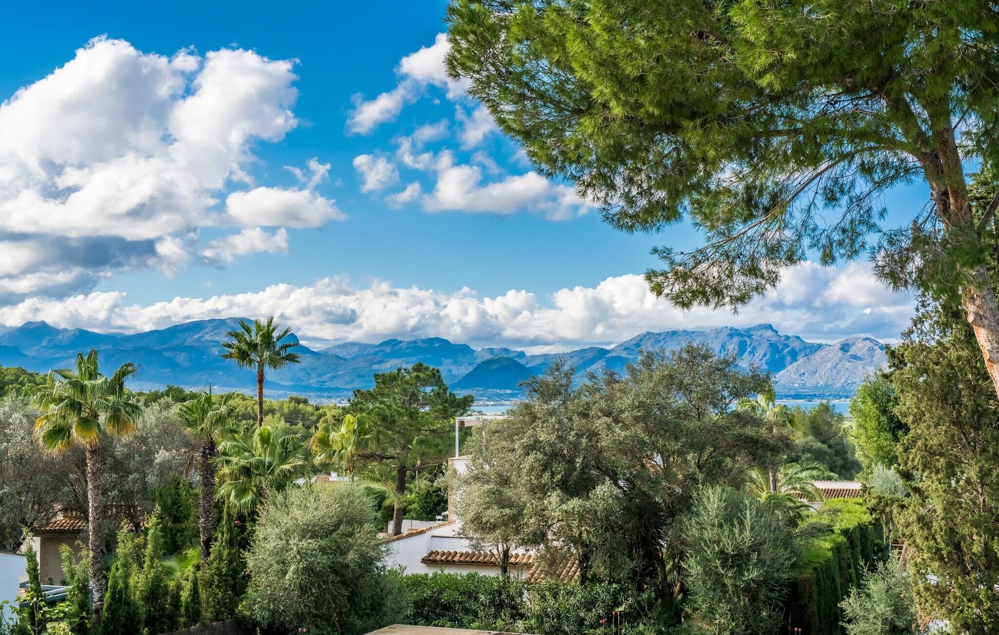 A lush garden with a variety of trees and shrubs, a white building with a tiled roof, and a mountainous backdrop under a clear blue sky.
