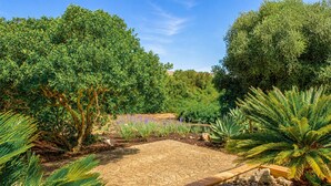 Ein Garten mit einem Kiesweg, verschiedenen Pflanzen und Bäumen.