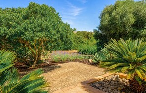 Property grounds - Gorgeous home in Canyamel with private swimming pool, can be inside or outside (Canyamel)