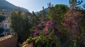 A hillside with buildings and trees, including a prominent tree with purple flowers. - 3 bedroom gorgeous apartment in Soller (Soller)