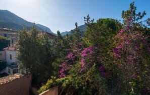 Property grounds - 3 bedroom gorgeous apartment in Soller (Soller)