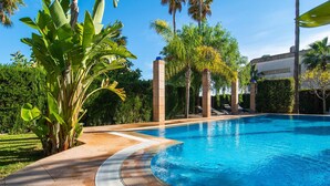 A swimming pool with a tiled edge, surrounded by palm trees and greenery.