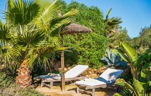 Property grounds - Luxurious home in Campos with private swimming pool, can be inside or outside (Campos)