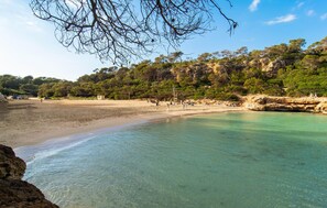 Una spiaggia nelle vicinanze