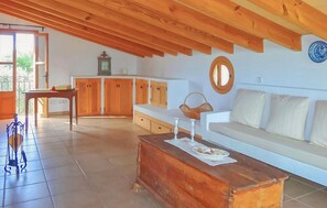 Smart-TV, Kamin