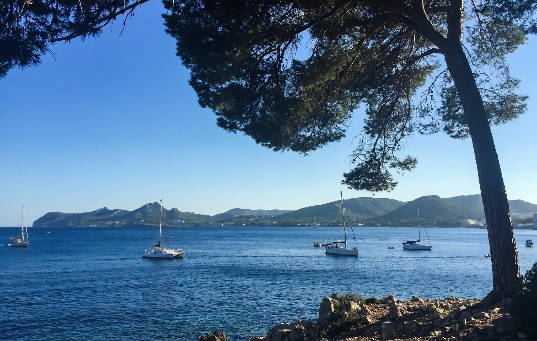 A coastal scene with several sailboats on calm waters, rocky shoreline, and distant mountains.