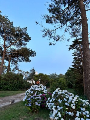 Áreas de la propiedad