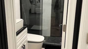 Shower, hair dryer, bidet, towels