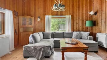 Strykjärn/strykbräda och gratis wi-fi