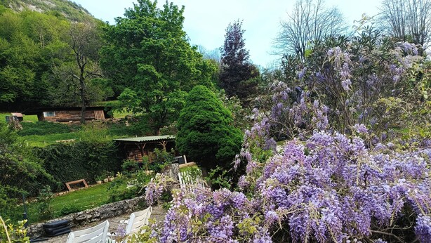 Ein Garten mit violetten Blumen, einer weißen Bank und einer Holzkonstruktion.