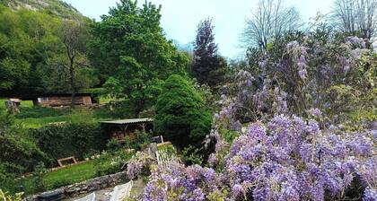 Large renovated country house, farm animals, hiking trails