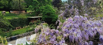 Large renovated country house, farm animals, hiking trails