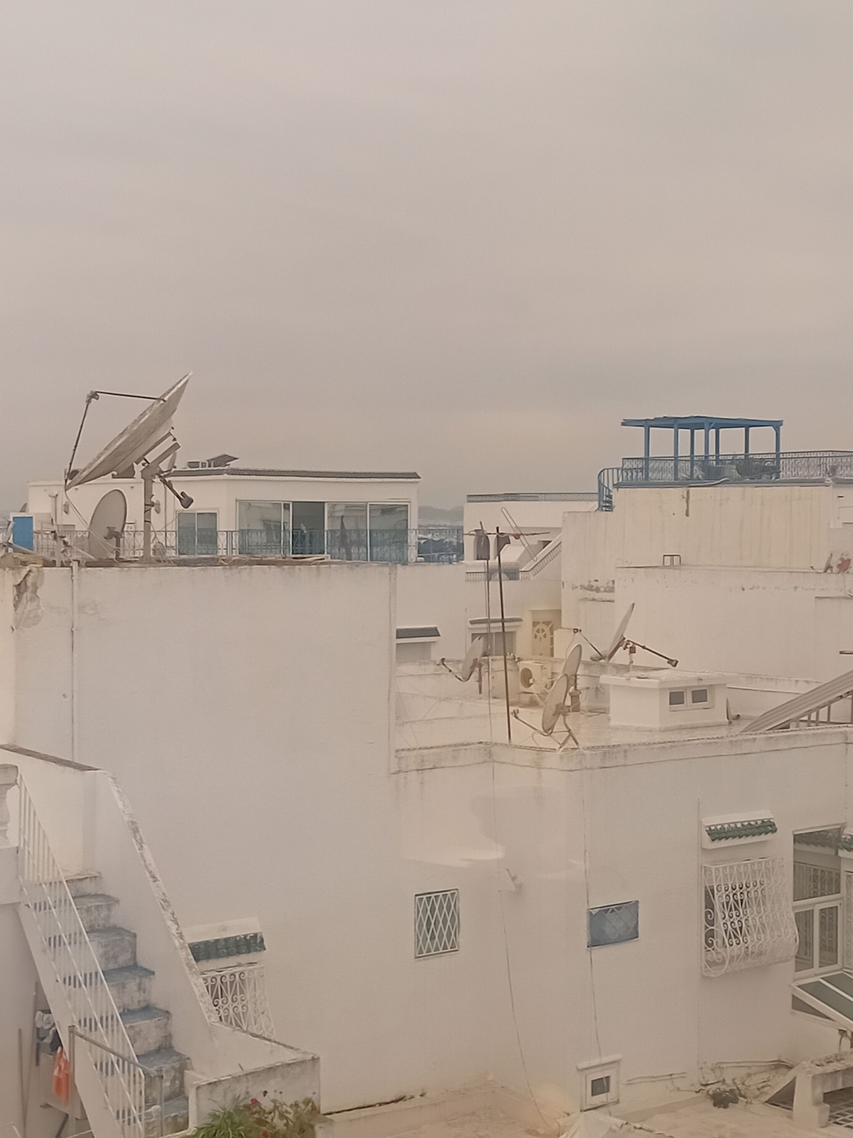 기타