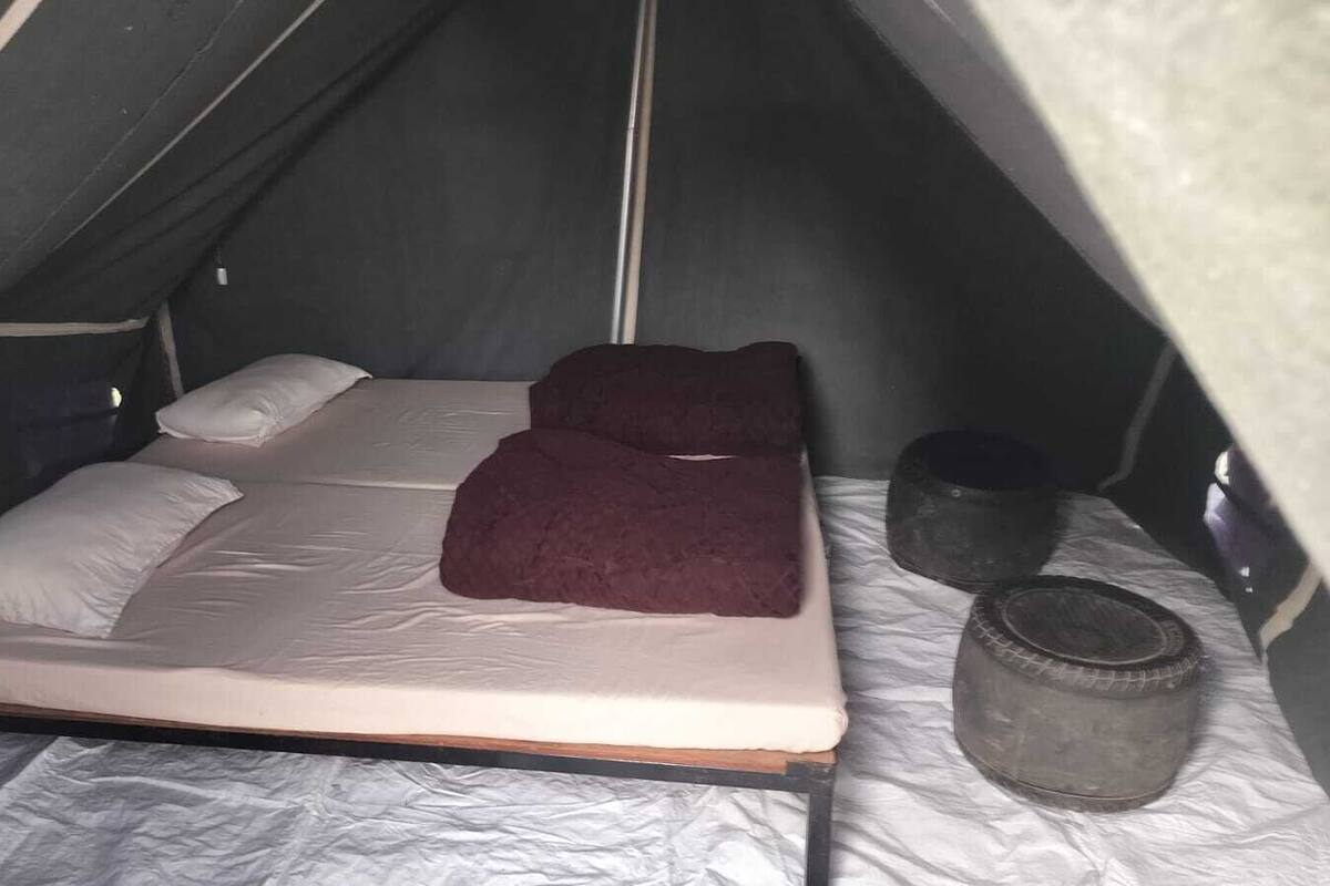 Basic Tent