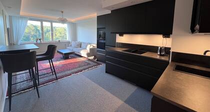 Modern apartment for a family, friends who want to visit Stockholm.