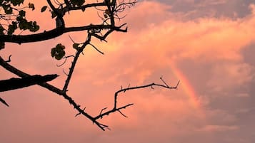 Escena de playa con terreno rocoso y una rama de árbol silueteada contra un cielo al atardecer.