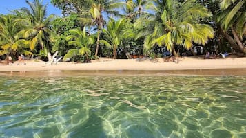 Vila, 2 quartos, piscina particular, vista para o jardim | Praia