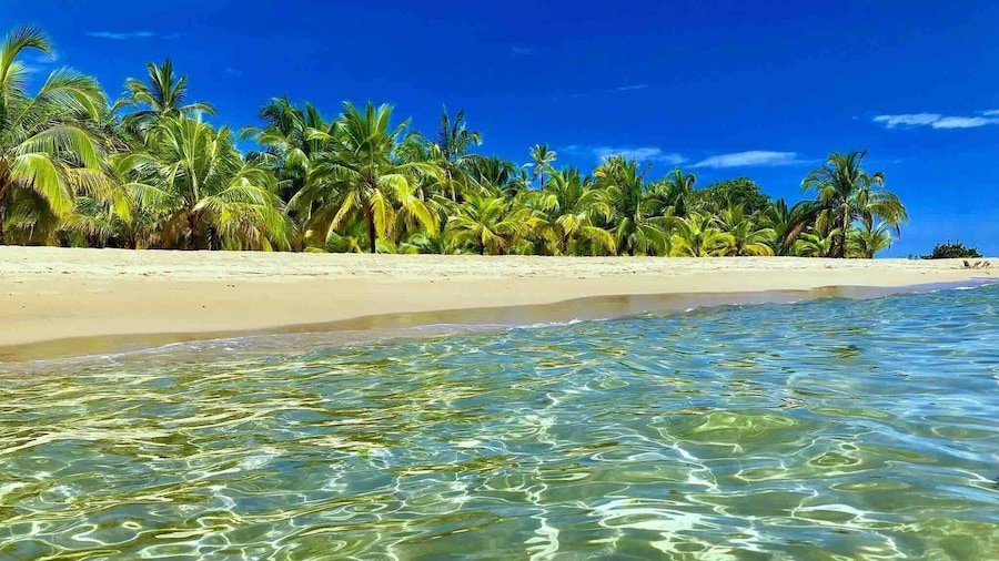 Private Caribbean Villa, Hot Jacuzzi & Pool