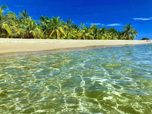Beach - Private Caribbean Villa, Pool, Hot-water Jacuzzi & Tropical Garden (Cahuita)