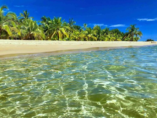 Private Caribbean Villa, Hot Jacuzzi & Pool