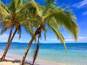 Villa, 2 Bedrooms, Private Pool, Garden View | Beach - Private Caribbean Villa, Hot Jacuzzi & Pool (Cahuita)