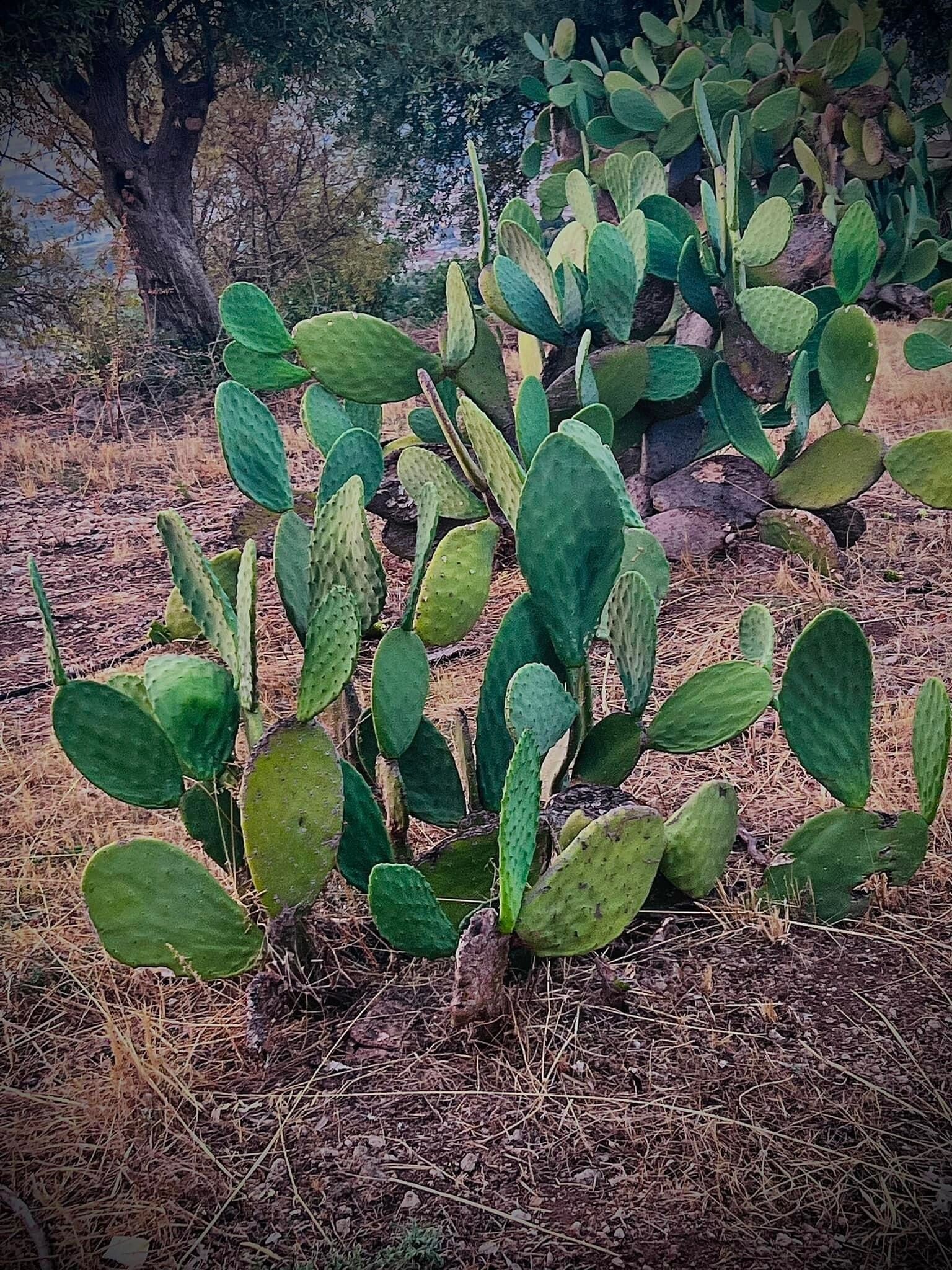Detalle del exterior