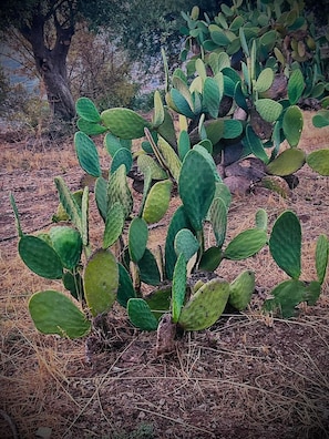 Detalle del exterior