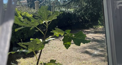 Charming self-contained 3 bed ground floor apartment in village maison de maitre