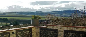 Property grounds - Les Pierres Blondes - Charm and serenity in the heart of Montpeyroux (Montpeyroux)