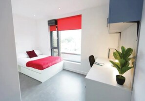 Desk, WiFi - Modern Student Studio at Heart of New Cross, London (Greater London)