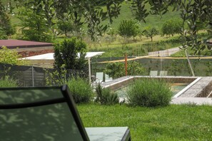 Property grounds - Villa with private pool and spa, walking city x25 (Modigliana)