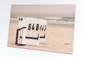 Beach - Seagull 4 - derseehund (Esens)