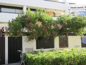 Property grounds - Studio "villa" la Motte du Couchant - 100 m south beach - private parking. (La Grande-Motte)