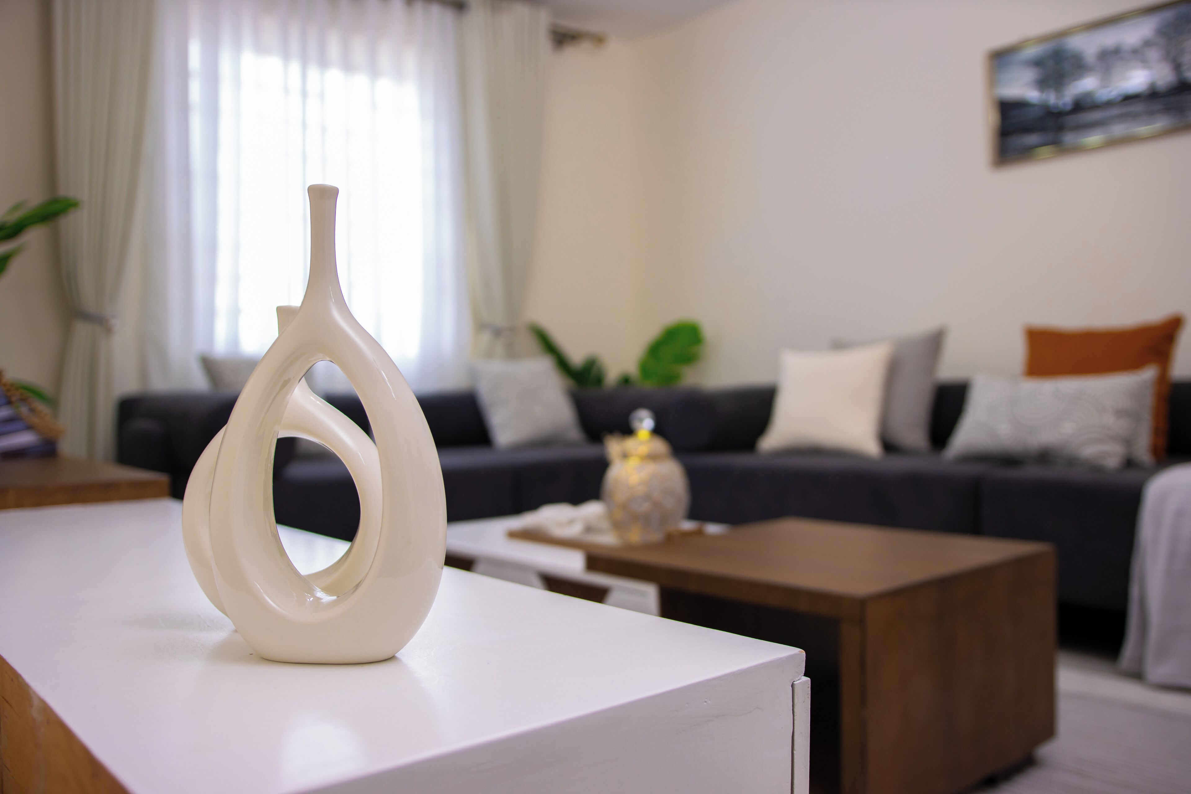 Een moderne woonkamer met een witte vaas op een tafel, een donkere bank met kussens, en een houten salontafel.