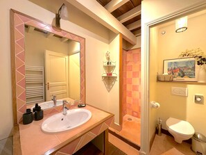A bathroom with a sink, mirror, shower, toilet, and a framed picture on the wall. - Billebaude guest room -Breakfast included (Montoillot)