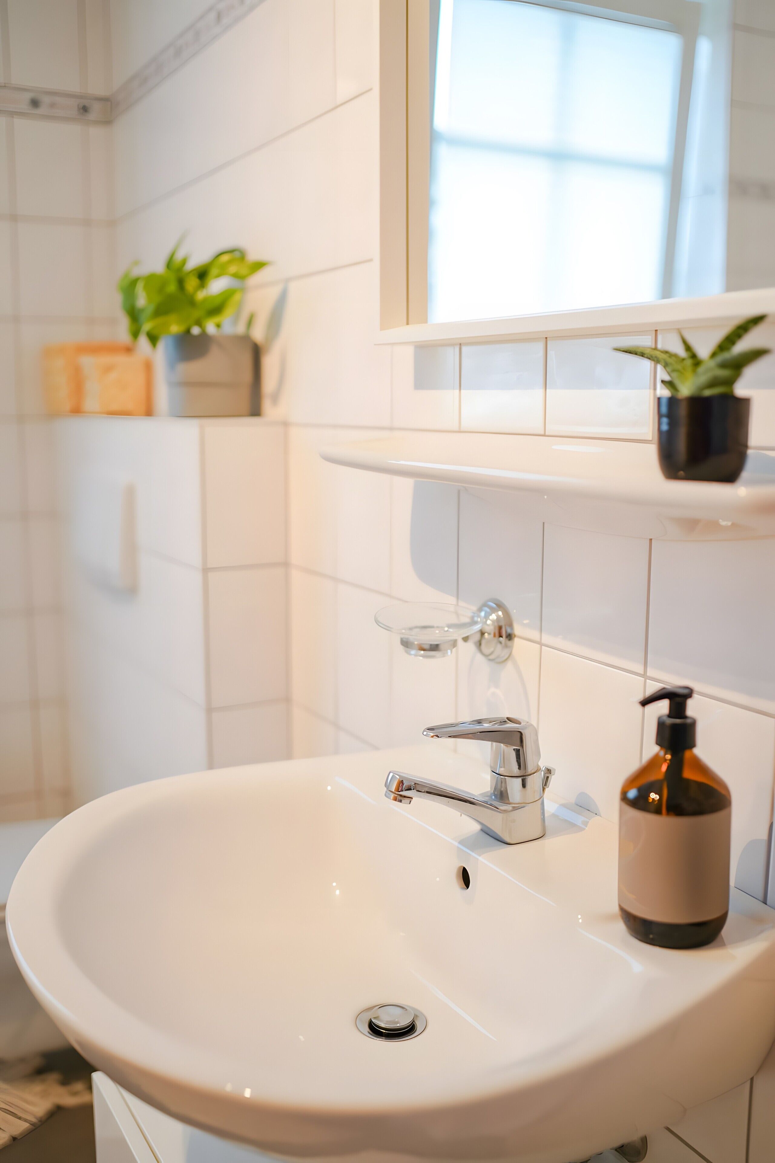 Une salle de bain avec un lavabo blanc, un robinet chromé et une plante en pot posée sur le comptoir.