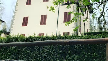 Eksteriør