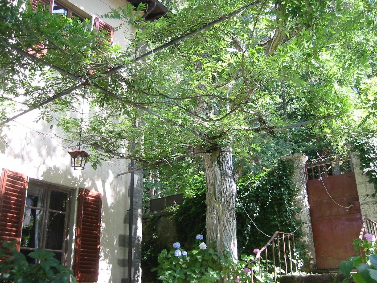 Parco della struttura