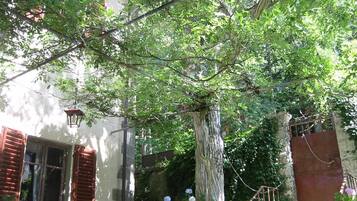 Parco della struttura