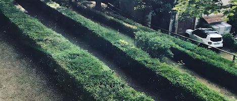 Terrain de lâhĂ©bergement