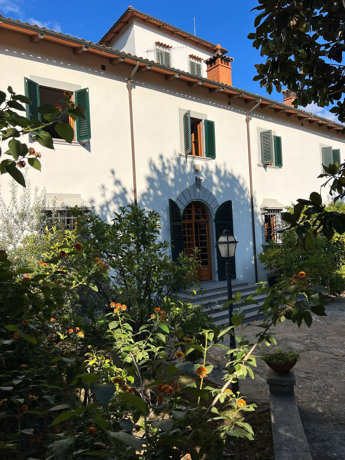 Imagen de perfil del propietario o de la propietaria