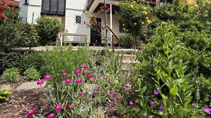 Een modern huis met twee verdiepingen en een balkon, omgeven door een tuin met verschillende planten en bloemen.