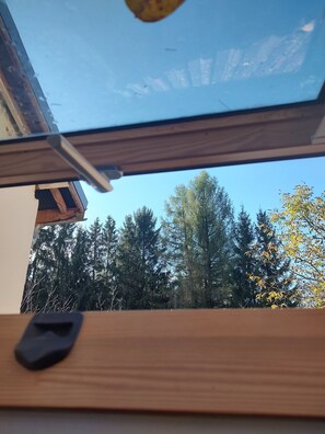Une lucarne offrant une vue sur les arbres et un bâtiment en arrière-plan.