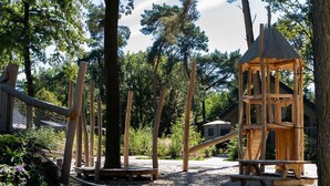 House | Children's area - Ecovilla With Forest View for 6 Person (Oirschot)