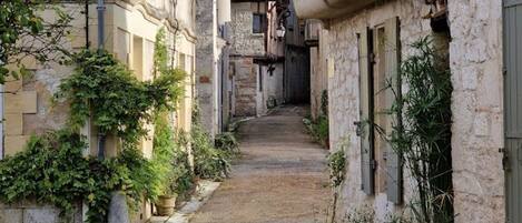 Terrain de l’hébergement