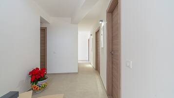 A hallway with a potted plant, wooden doors, and a light switch.