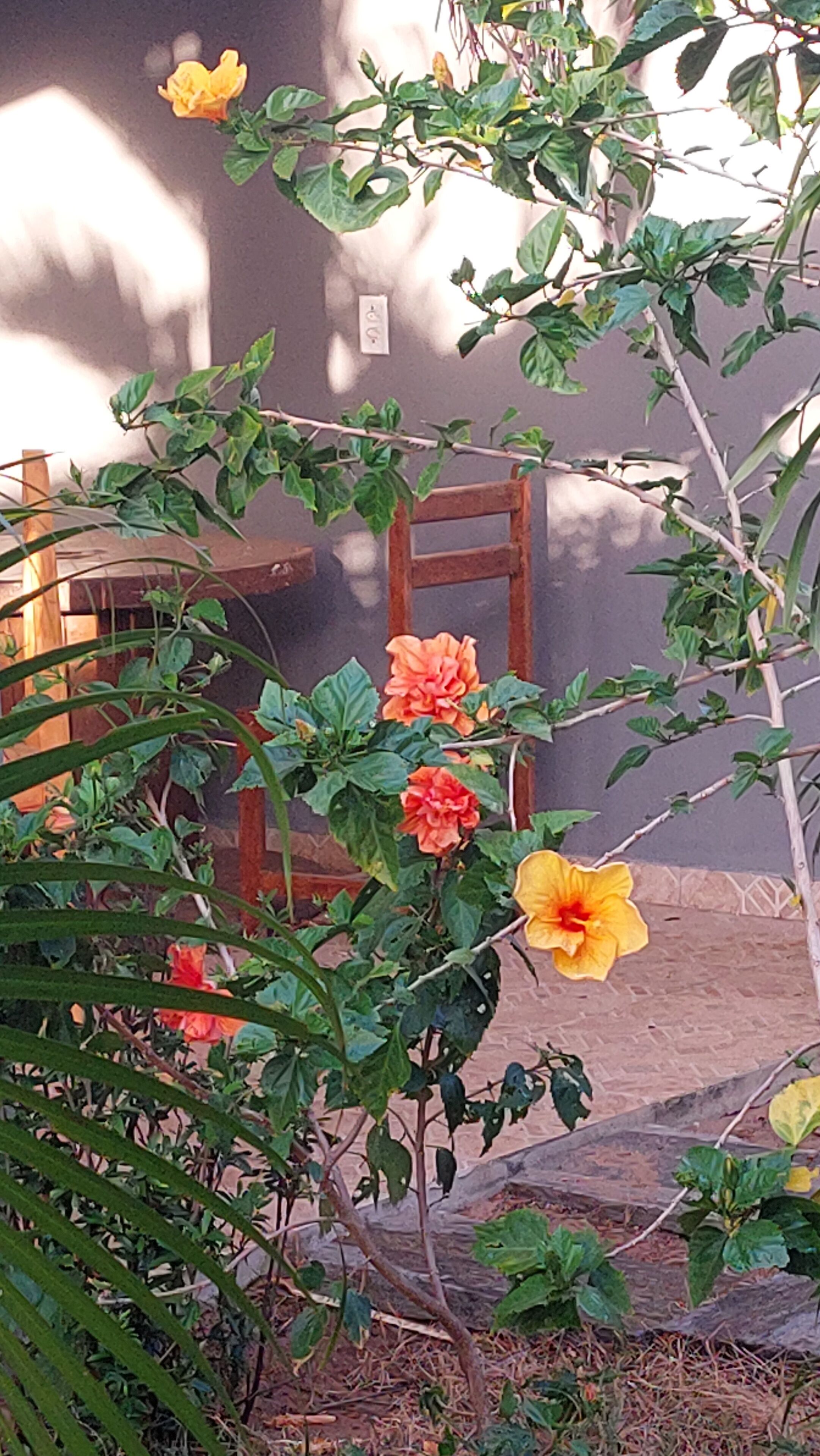 Quarto quádruplo standard | Área da propriedade