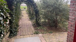 A brick pathway leading through a garden with a brick wall on one side and a metal gate at the end. - Natuur Vakantie Bonte Haan - Het Heerhuys (Berg en Terblijt)